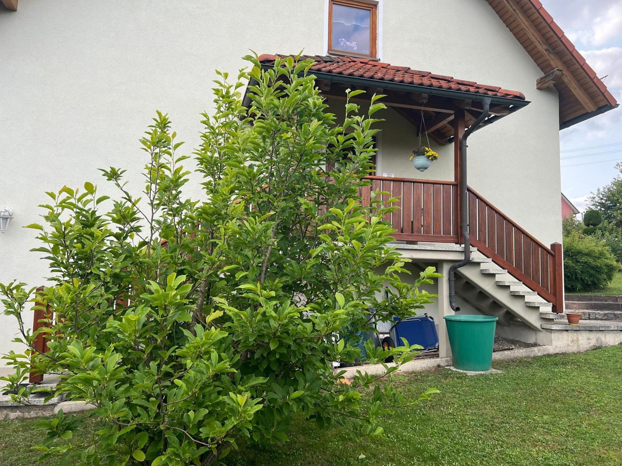 Ferienwohnung Doerfler Hollfeld Екстериор снимка